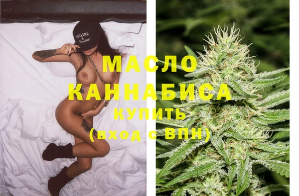 дмт Богородицк