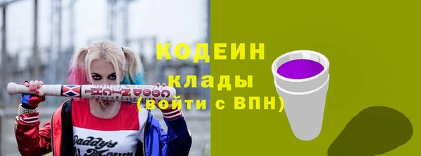 дмт Богородицк