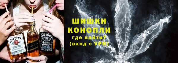 шишки Богданович