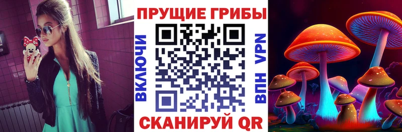 Галлюциногенные грибы Magic Shrooms  Бирюч 